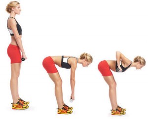 Bent Over Dumbbell Rows