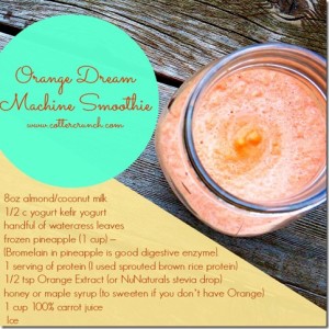 Orange Dream Machine Smoothie