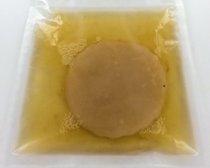 Kombucha Scoby