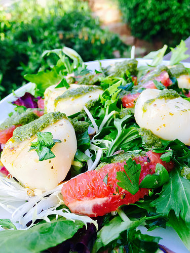 Seared Scallops with Grapefruit & Pesto