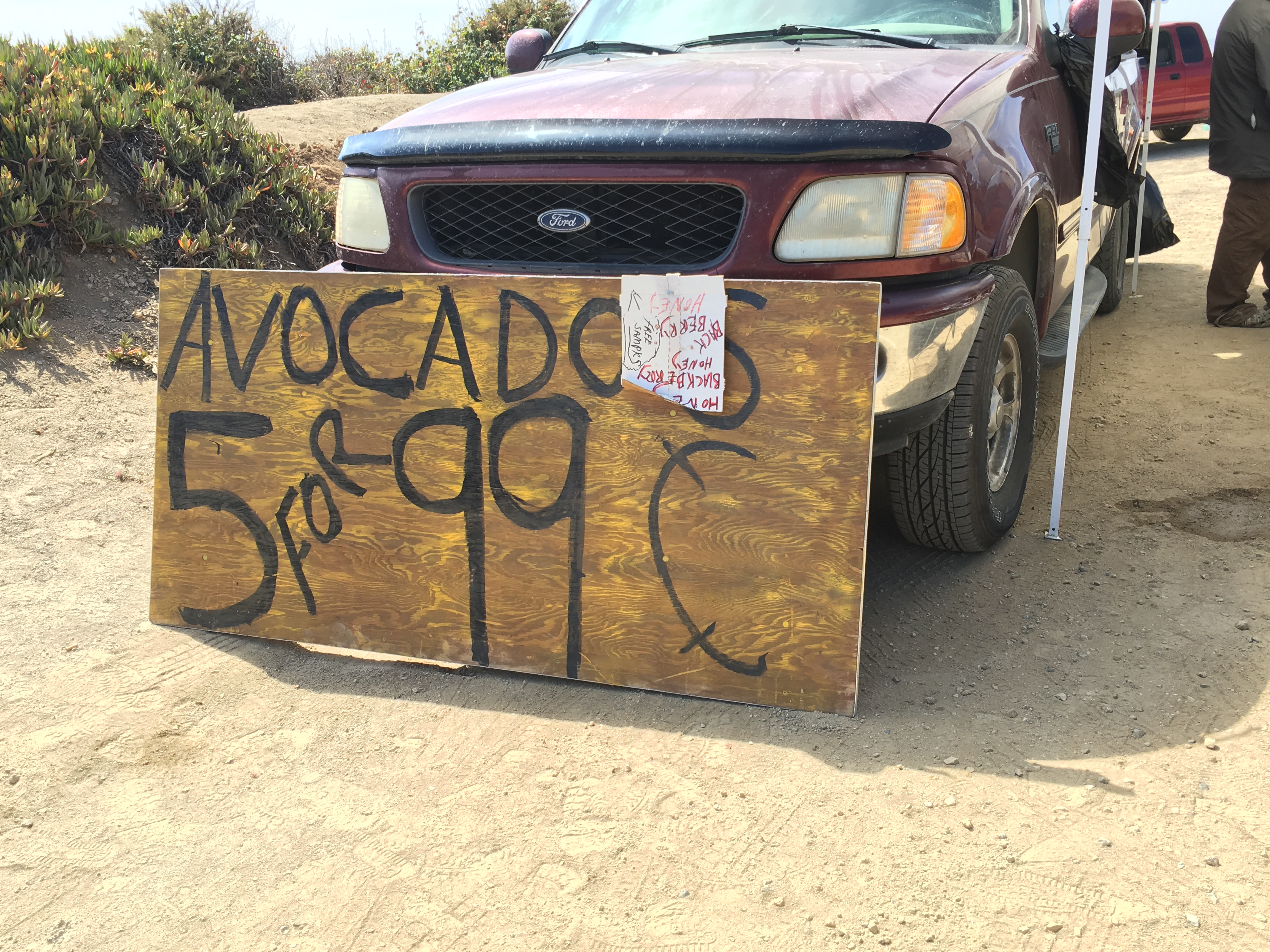 Roadside avocados