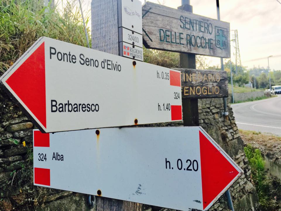 One Day in Piedmont: From Alba to Barolo | Sprint 2 the Table