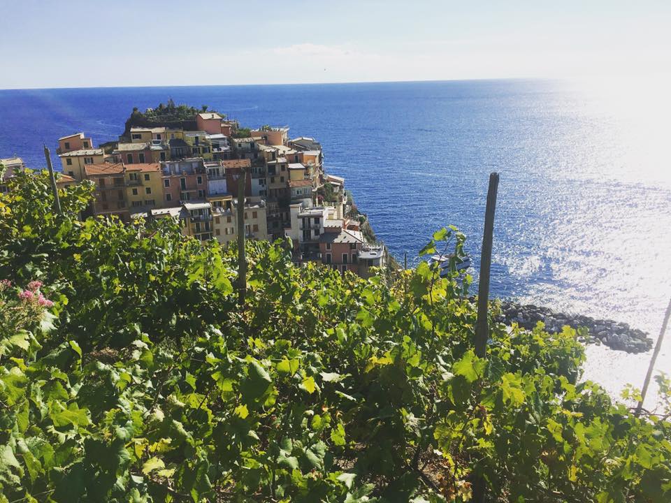 Hiking from Manarola, looking down on Corniglia