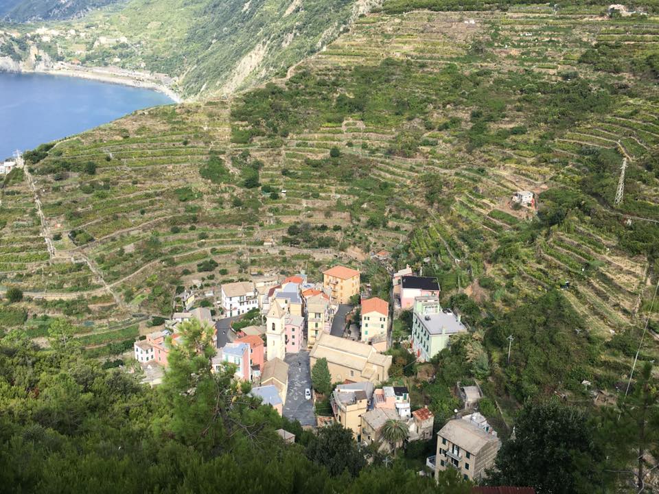 Looking down on Manarola from the Beccara trail