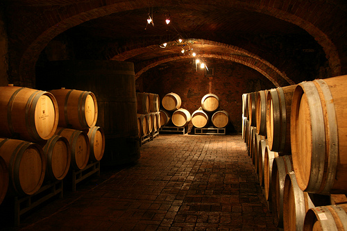 Pira wine's cellars in Barolo