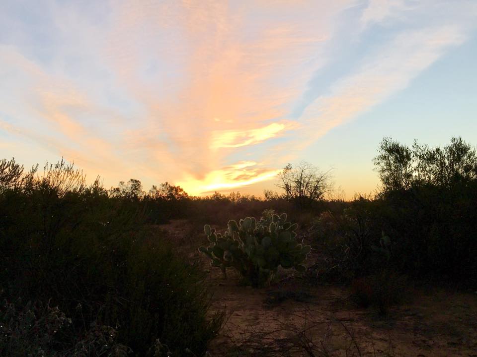 Balboa Park Trails