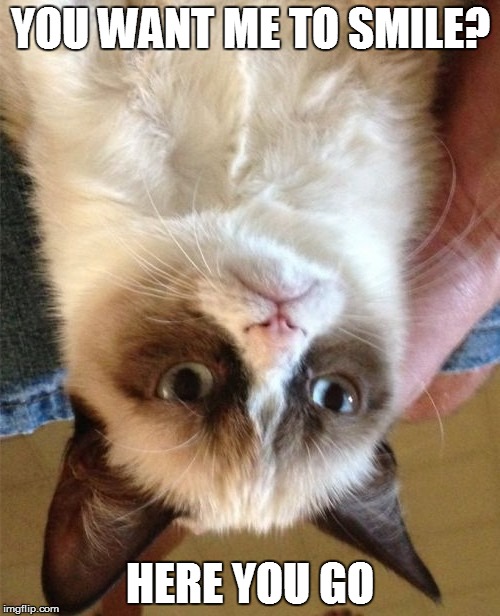 Grump Cat Upside Down Smile