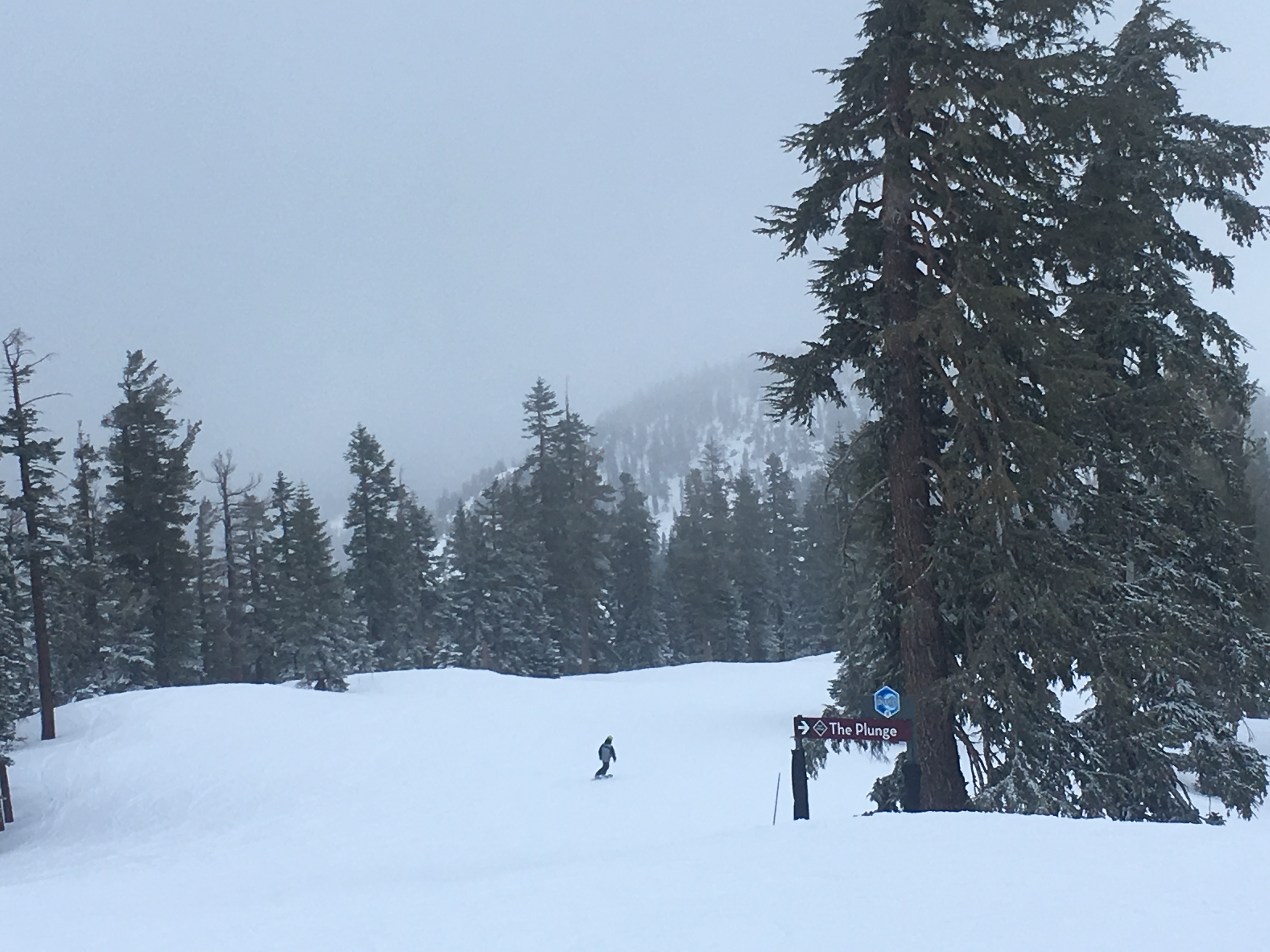 Northstar Mountain trails