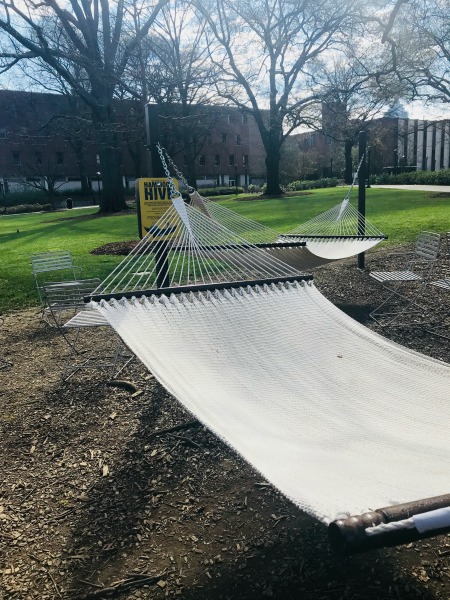 Hammocks at GA Tech