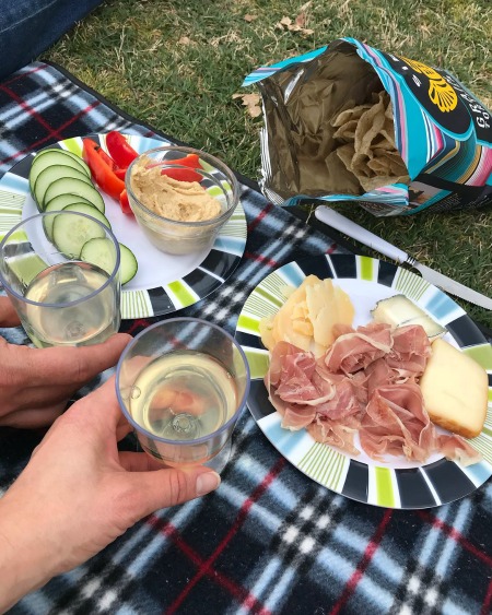 Picnic in Piedmont Park for the Dogwood Festival