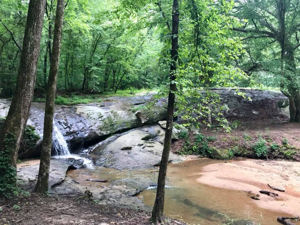 Trail run at Serenbe